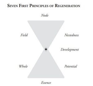 First Principles of Living Systems - Carol Sanford